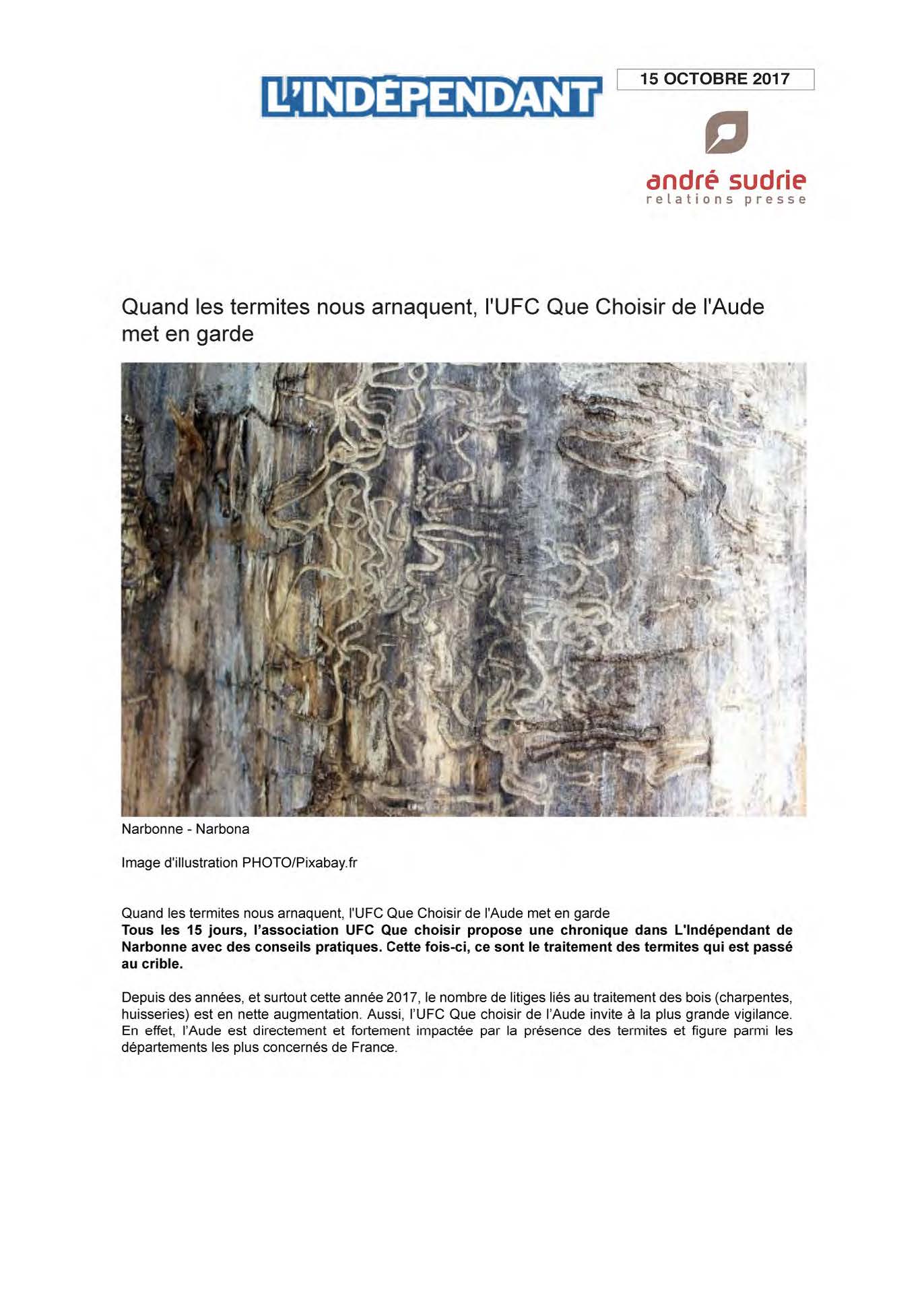 Article sur des arnaques d'entreprises luttant contre les termites