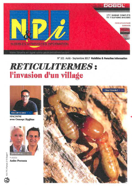 Article de presse NPI sur l'nvasion de termites