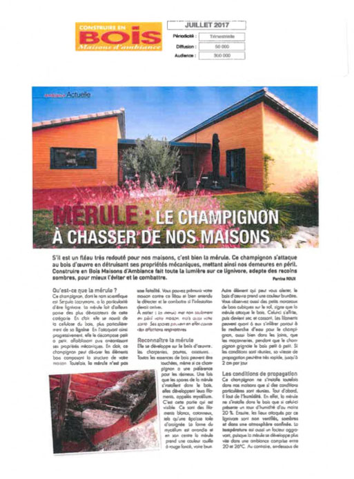 Article sur la mérule