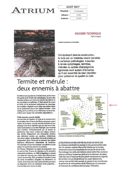 Article de presse sur les termites et la mérule