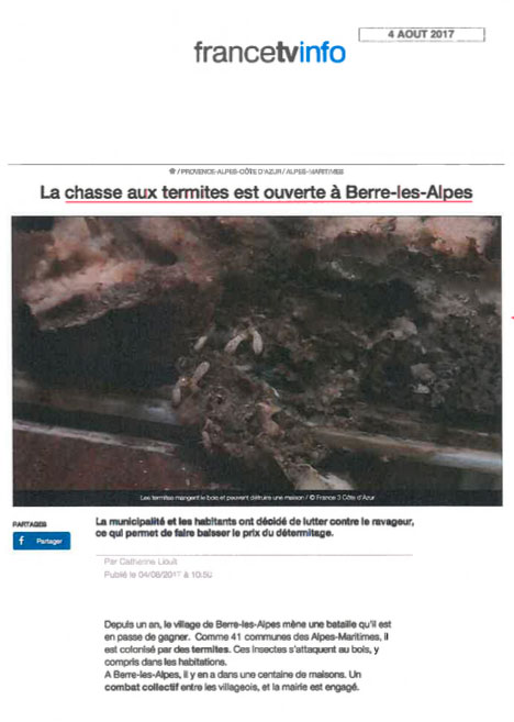 Article sur la lutte contre des termites dans un village