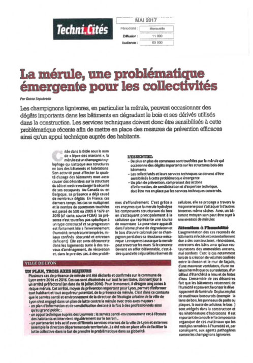 Article sur la problématique des mérules