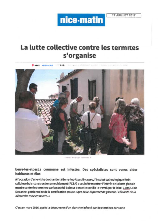 Article sur la lutte contre des termites dans un village
