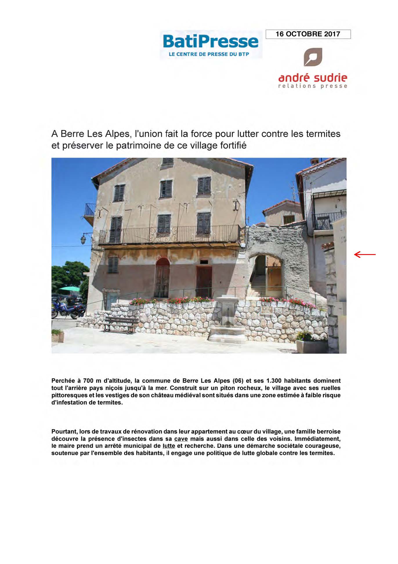 Article sur l'envahissement de termites dans un village