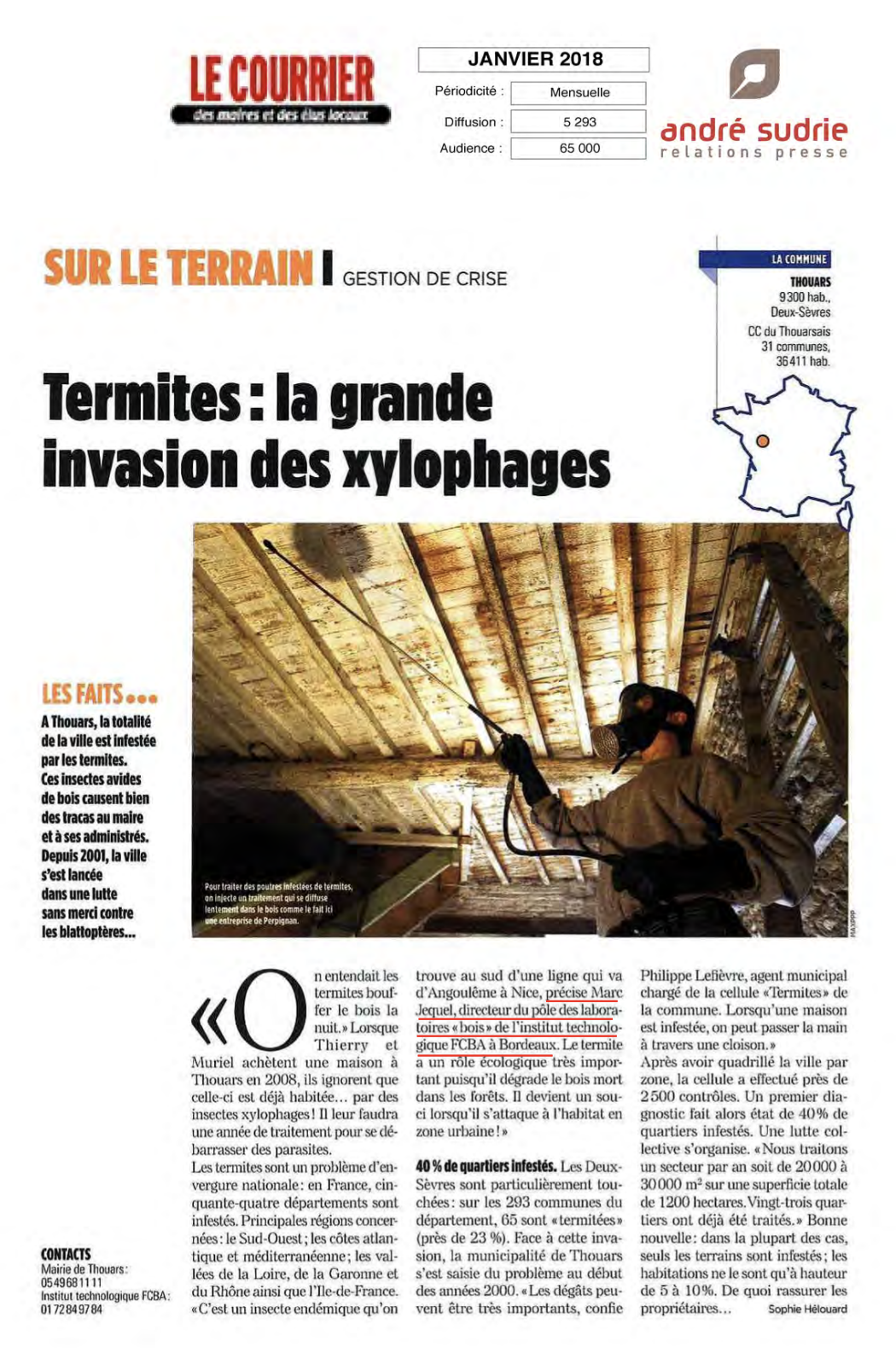 Termites la grande invasion des xylophages