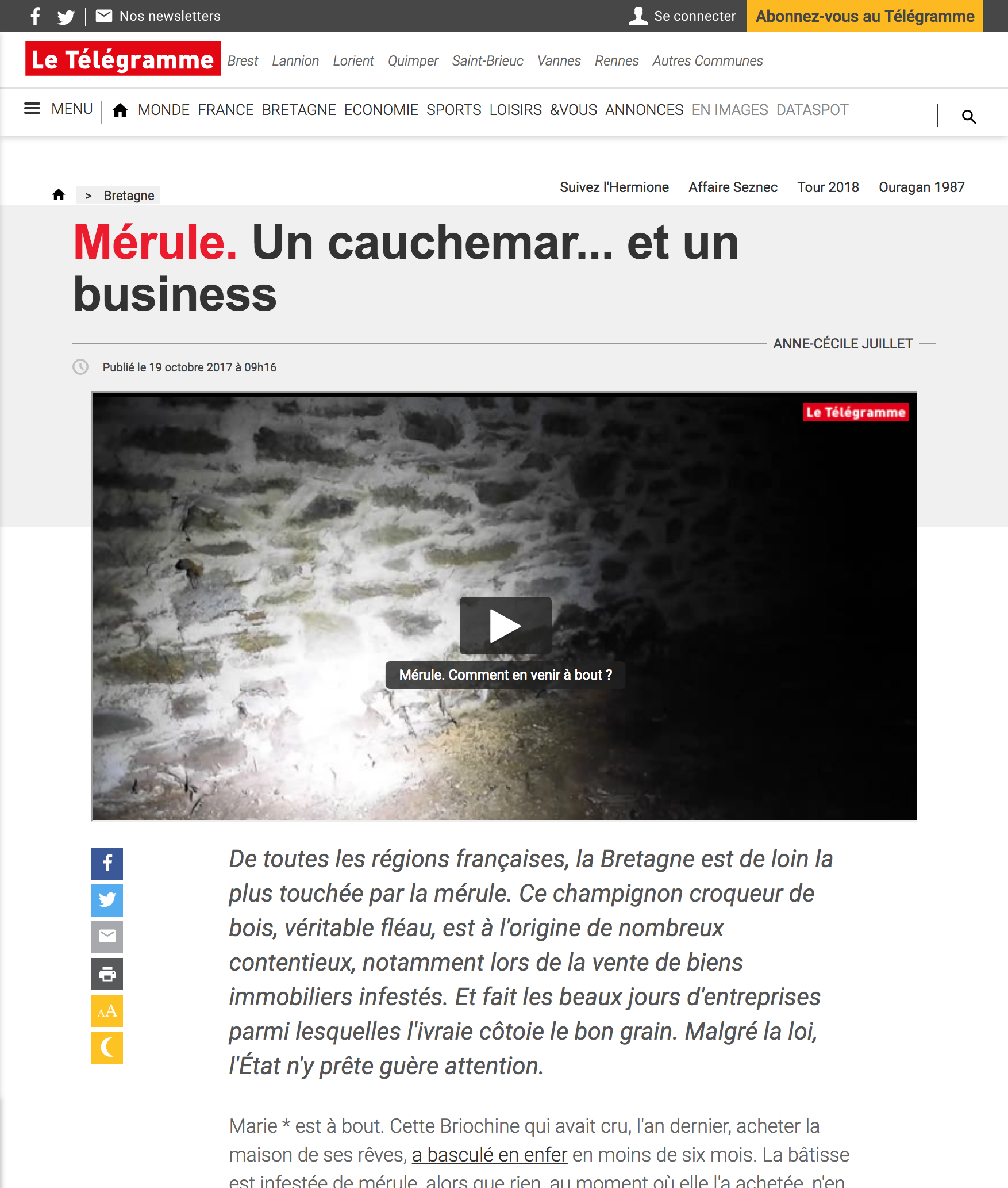 Article sur le marché de la lutte contre la mérule