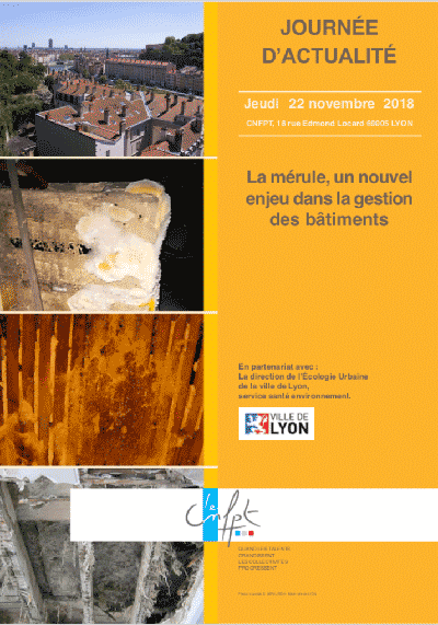 Couverture brochure sur la mérule