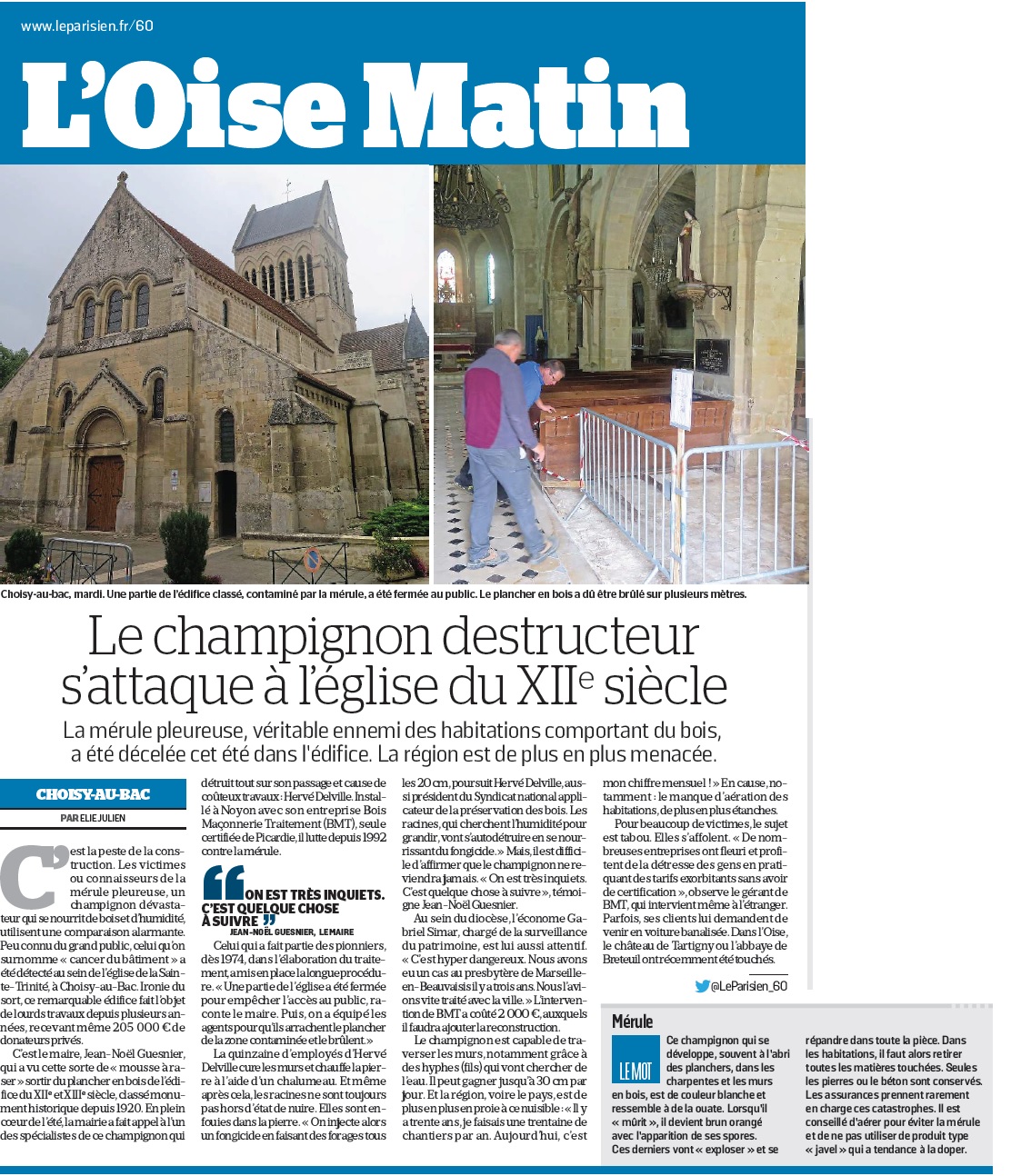 Article du parisien sur le traitement de la mérule