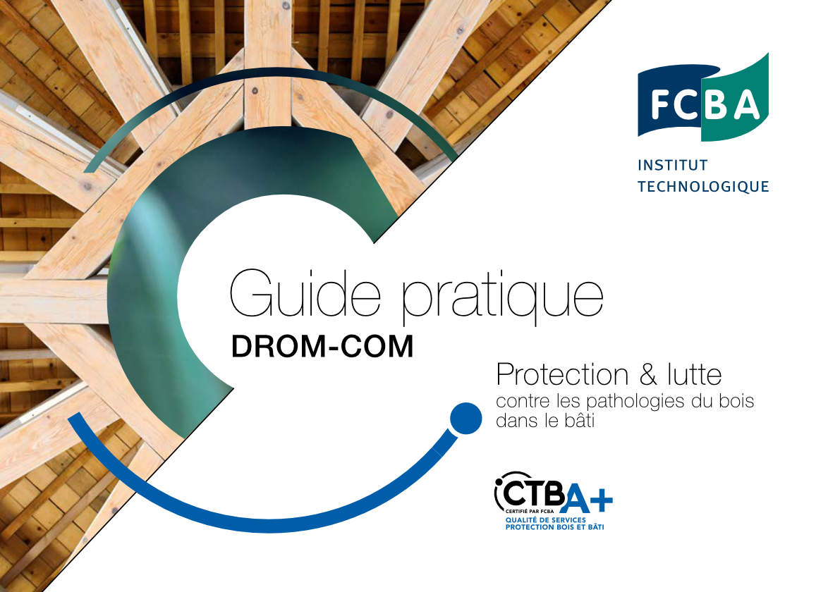 Guide pratique sur la protection contre les pathologies du bois