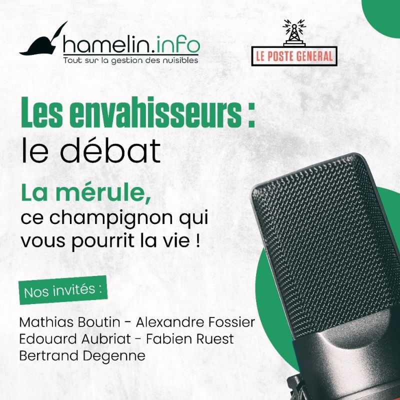 Podcast sur la mérule
